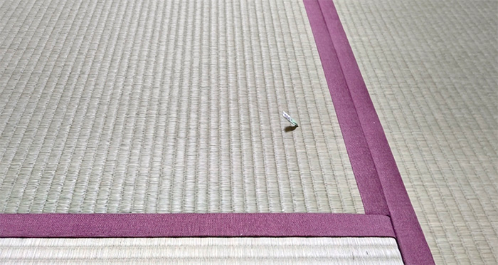 江東区南砂畳の畳替え工事の写真