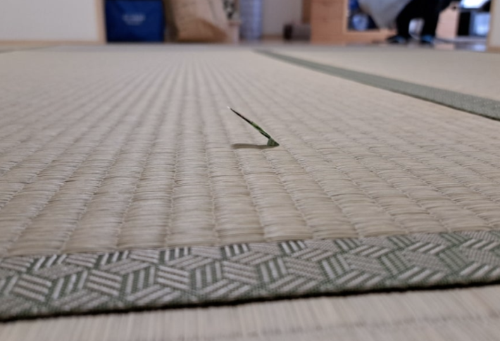 江東区オオタケ畳の値段・価格の違いについて解説